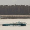315-9075 Iceberg
